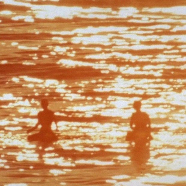 Ausschnitt: The Endless Summer, 1966