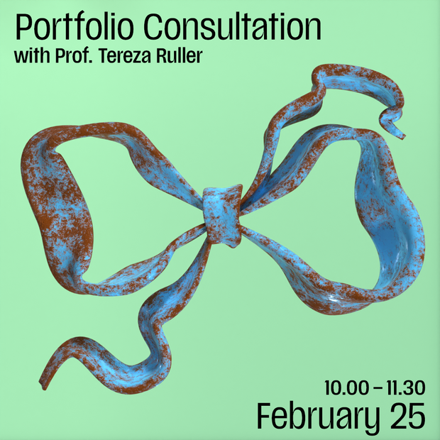 Key Visual Portfolio Consultation February 25th, 2025 with Prof. Tereza Ruller