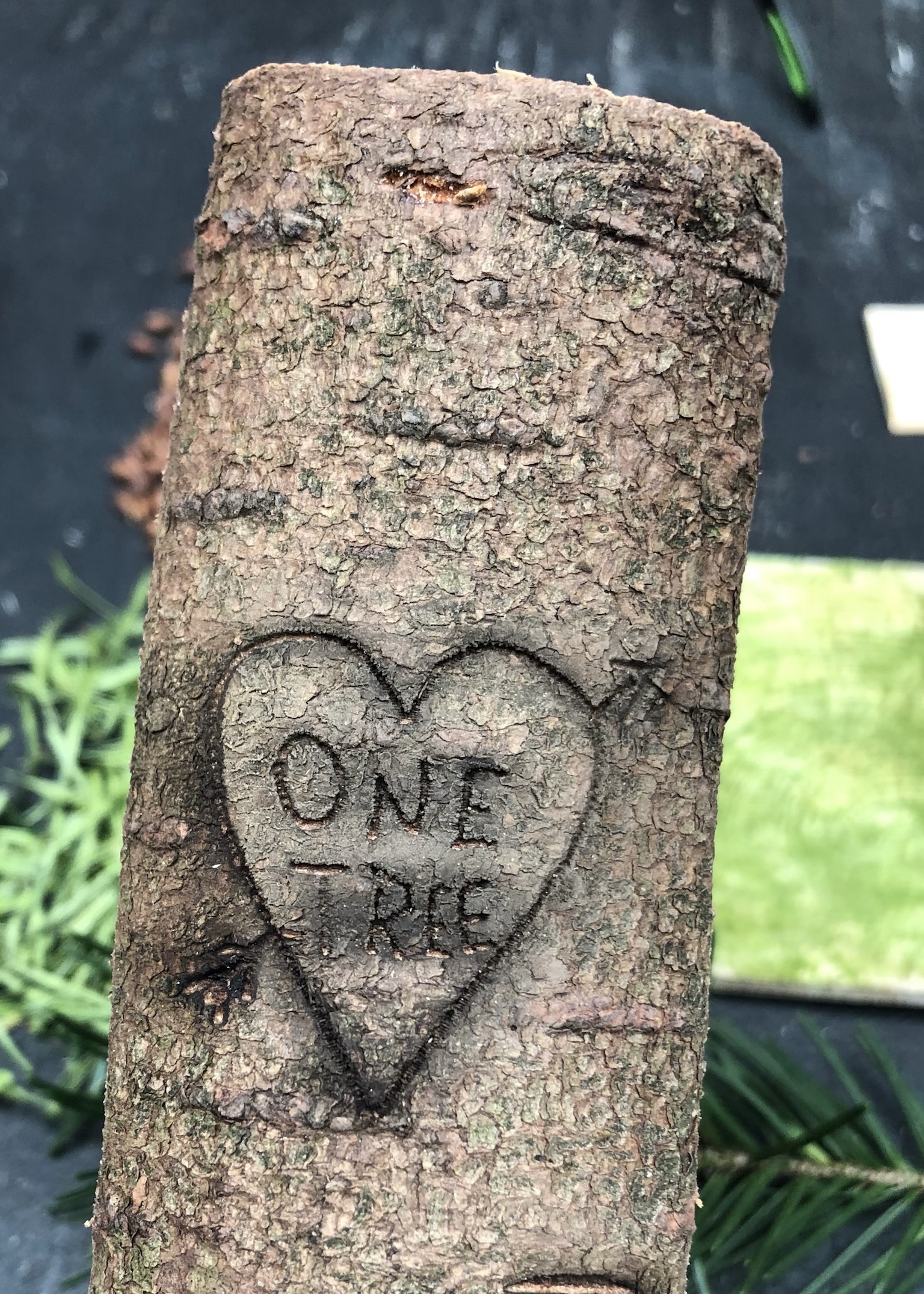 One Tree Workshop im WS 2021 | HfG Karlsruhe