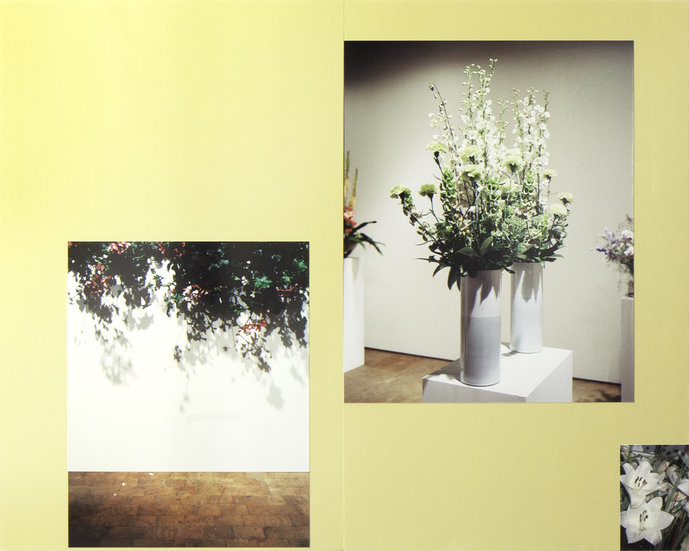 „Still Life Clusters. Works Combined from 7 out of 13“, Diplom von Wataru Murakami